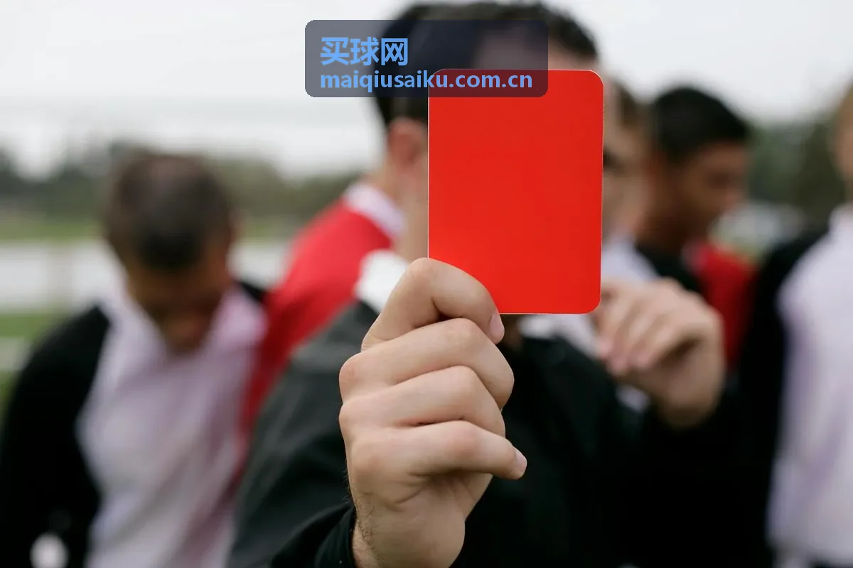 买球网精选羽毛球拍套装